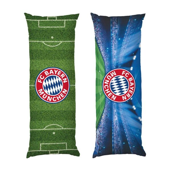 bavariia.-pole-uspikhu.-bayern.-field-of-success-2