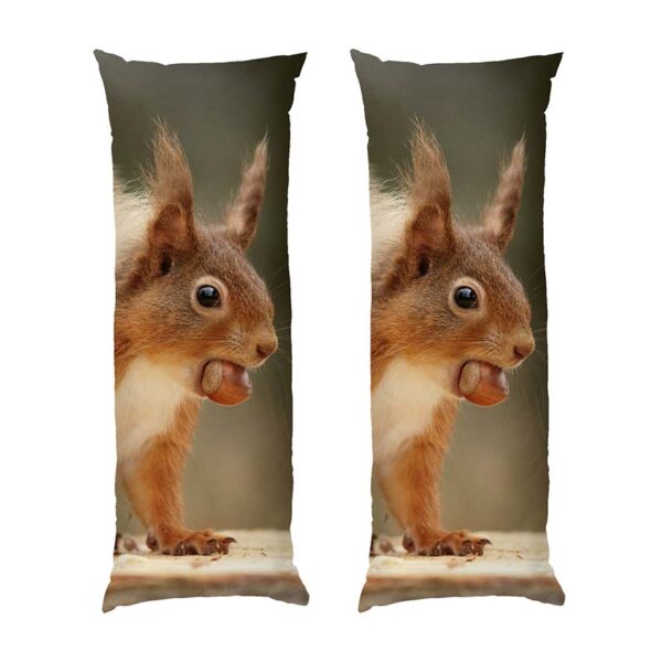 bilka-z-horikhom.-lis.-squirrel-with-nut.-forest-1