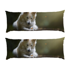 Білий пес та метелик White dog and butterfly