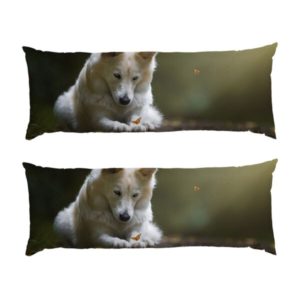bilyy-pes-ta-metelyk.-white-dog-and-butterfly-2