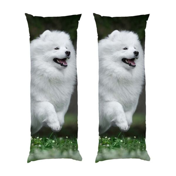 bilyy-shpits-u-poli.-white-spitz-in-the-field-2