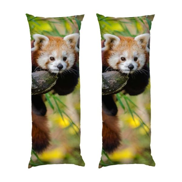 chervona-panda.-vidpochynok-na-derevi.-red-panda.-rest-on-a-tree-2