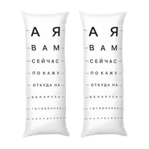 Дакимакура «Политический мем Political meme»
