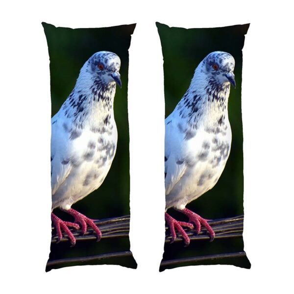 harnyy-holub.-beautiful-dove-1