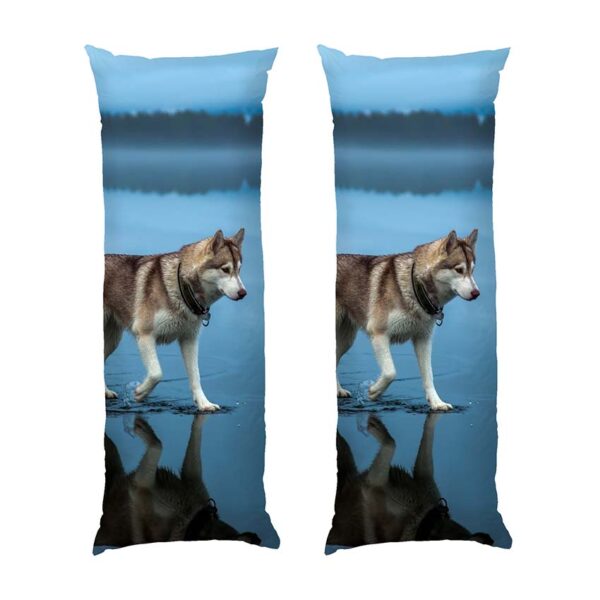 khaski.-prohulka-po-vodi.-husky.-a-walk-on-the-water-2