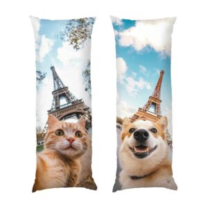 Кот и собака. Прогулка по Парижу Cat and dog Walk in Paris