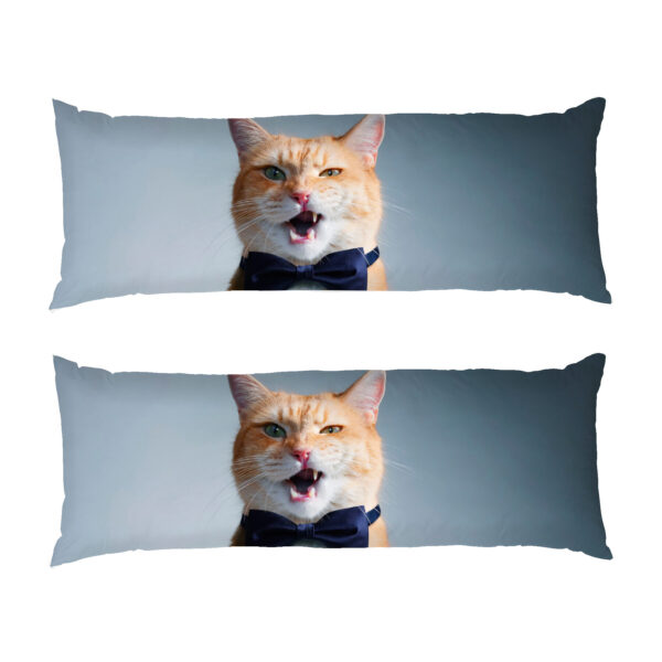 kit-z-kravatkoiu-metelyk.-cat-with-a-bow-tie-rotated