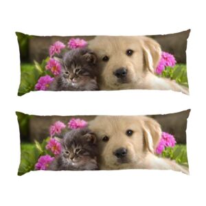 Котенок и щенок Маленькие друзья Kitten and puppy Little friends