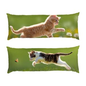 Котята: Игра в поле Kittens Game in the field