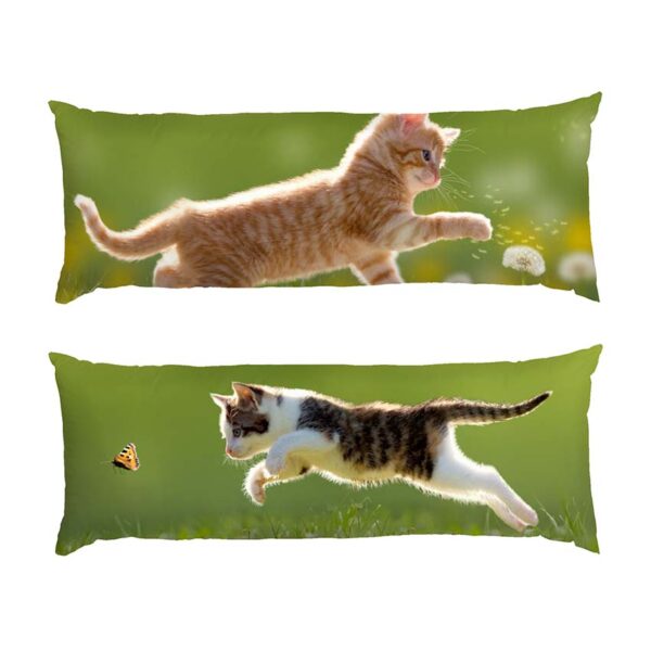 kosheniata.-hra-u-poli.-kittens.-game-in-the-field-1