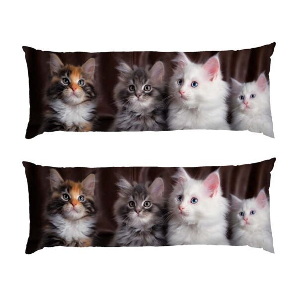 kosheniata.-naykrashchi-druzi.-kittens.-best-friends-1 kosheniata.-naykrashchi-druzi.-kittens.-best-friends-1