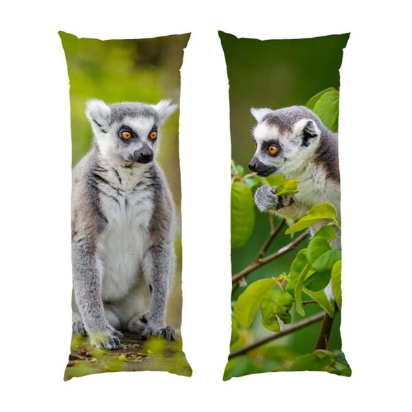 lemur-u-dzhunhliakh.-lemur-in-the-jungle-2