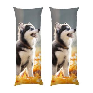 Маленька хаскі Золоті листя Little husky Golden leaves