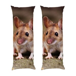 Маленька миша Little mouse
