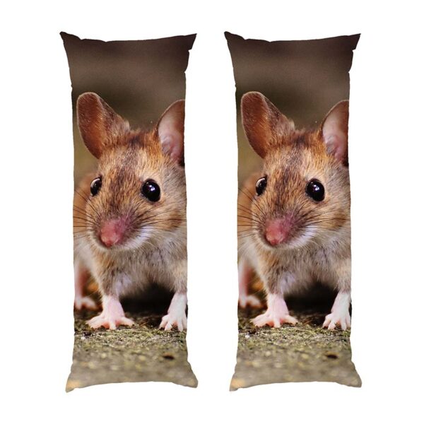 маленькая-мышка.-little-mouse-2 маленькая-мышка.-little-mouse-2