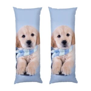 Маленьке цуценя Блакитний шарф Little puppy Blue scarf