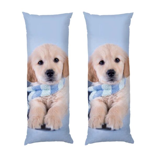 malenke-tsutsenia.-blakytnyy-sharf.-little-puppy.-blue-scarf-1
