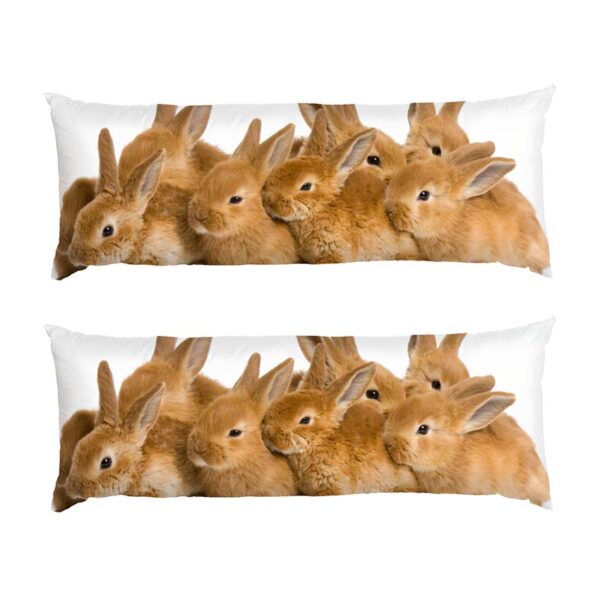 malenki-pukhnasti-krolyky.-little-fluffy-rabbits-1