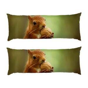 Милая белка с орешком «Лес» Cute squirrel with a nut Forest