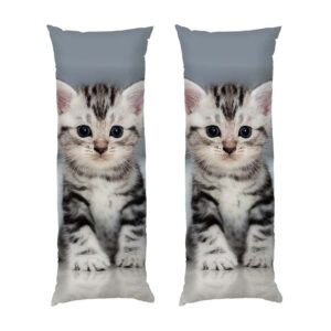 Миле маленьке кошеня Cute little kitten