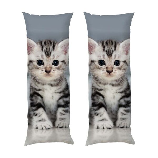 myle-malenke-koshenia.-cute-little-kitten-2