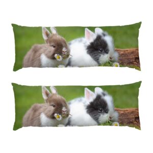 Милые кролики «Ромашки» Cute rabbits Chamomile