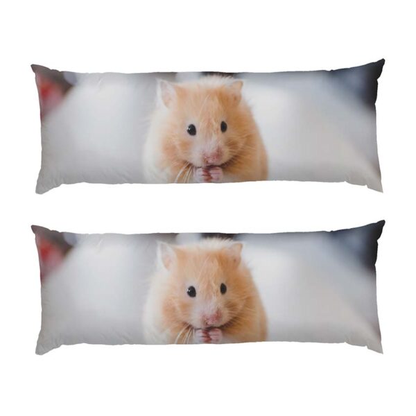 mylyy-rudyy-khomiak.-cute-red-hamster-2 mylyy-rudyy-khomiak.-cute-red-hamster-2