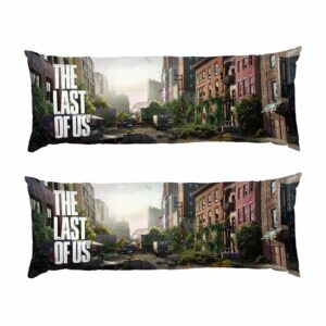 Пустой город «Последние из нас» Empty city The Last of Us