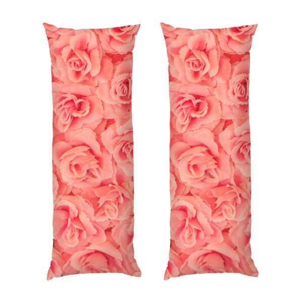 rozheva-troianda.-harna-kvitka.-pink-rose.-a-beautiful-flower