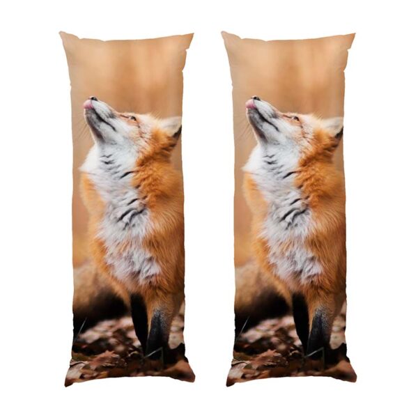 ruda-lysytsia.-chudovyy-lis.-red-fox.-a-wonderful-forest-2