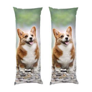 Счастливый корги Happy corgi