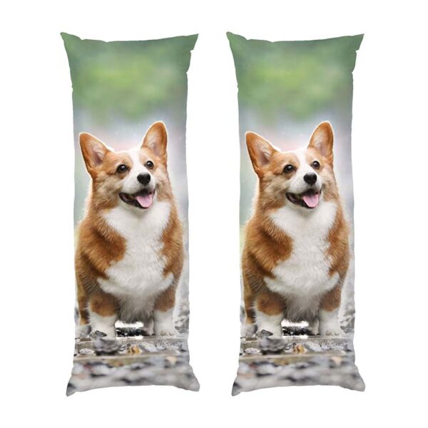 shchaslyvyy-korhi.-happy-corgi-3