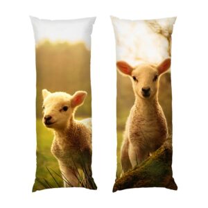 Смішні ягнята в полі Funny lambs in the field