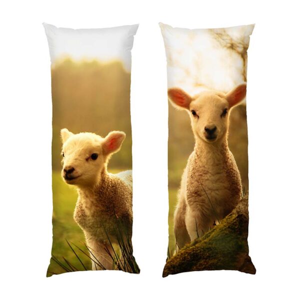 smishni-iahniata-v-poli.-funny-lambs-in-the-field-1