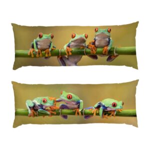 Смішні жабенята на гілці Funny frogs on a branch