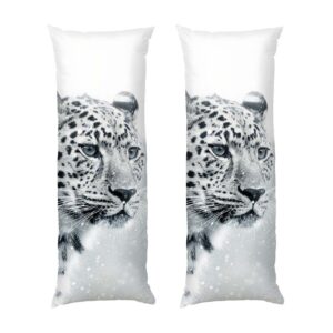 Снежный барс «Буря» (Snow leopard Storm)