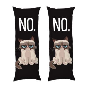 Сварливий Кіт Ні Мем Grumpy cat No Mem