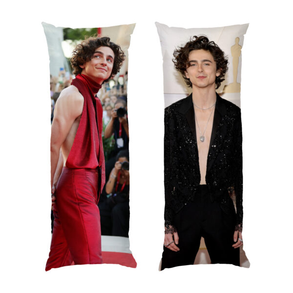 timoti-shalame.-aktor.-timothee-chalamet.-actor