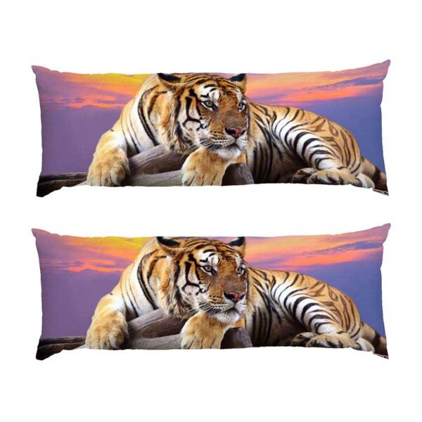 tyhr.-zakhid-sontsia.-tiger.-sunset-2