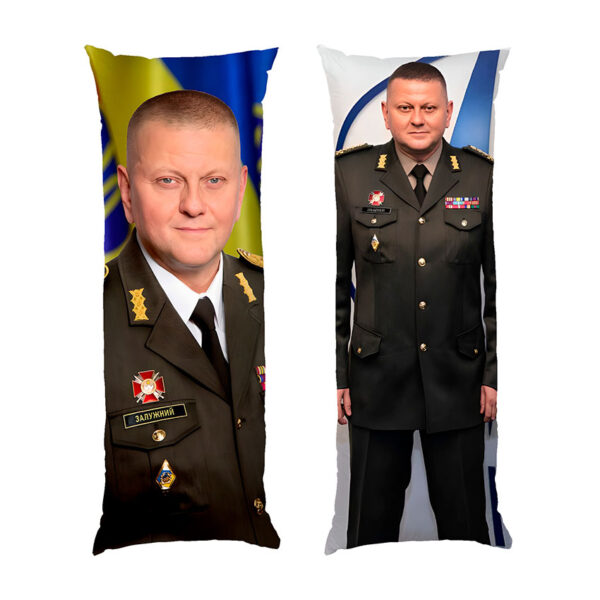 valeriy-zaluzhnyy-u-formi