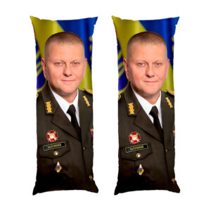 Валерій Залужний Портрет