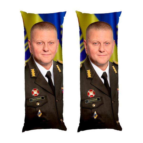 valeriy-zaluzhnyy.-portret