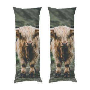 Большой бык Big bull
