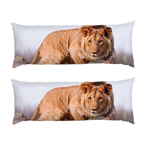 velykyy-lev.-poliuvannia.-big-lion.-hunting-2