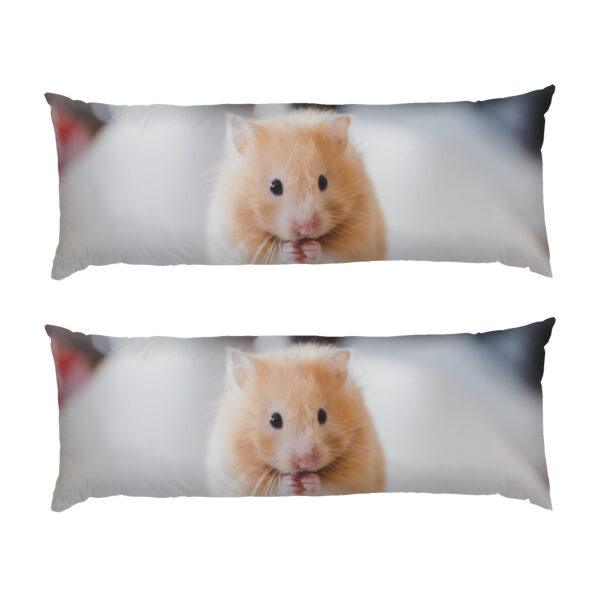 Милий рудий хом як. Cute red hamster