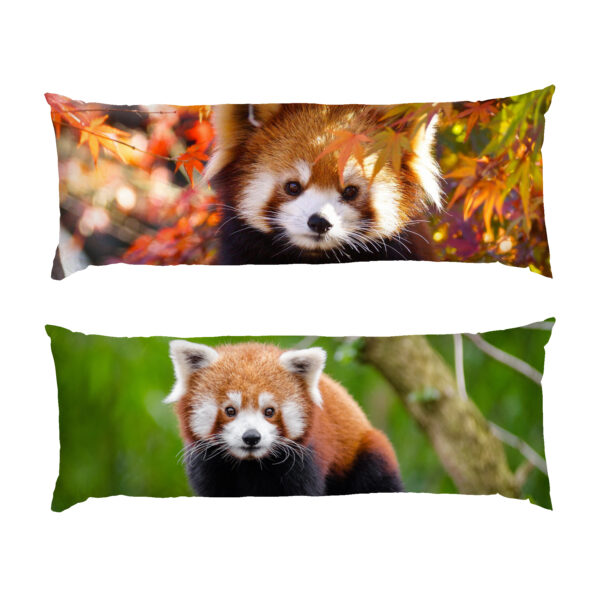 Пухнаста червона панда. Fluffy red panda